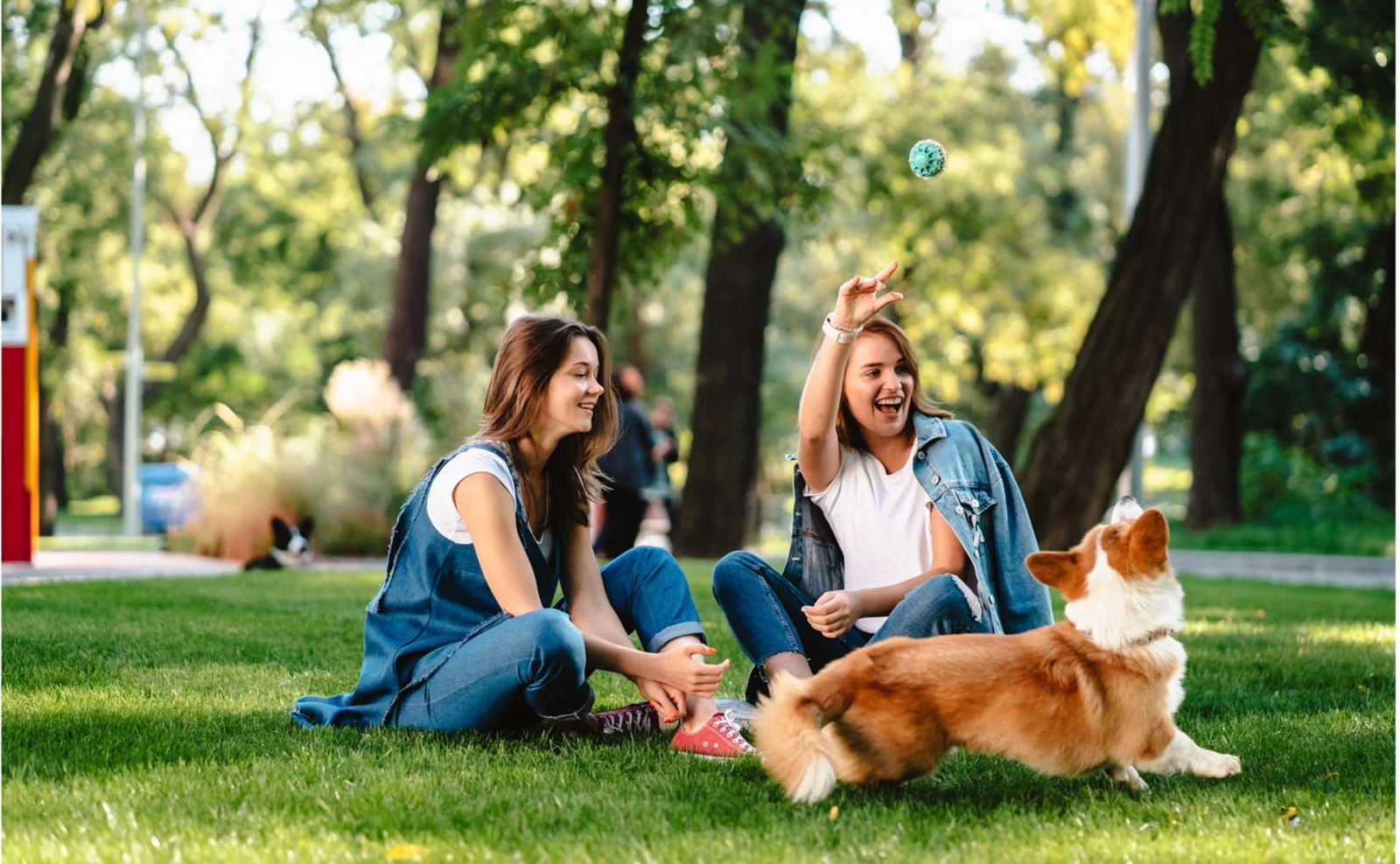 Por que as bolsas com fundo plano são uma inovação-para marcas de alimentos para animais de estim...